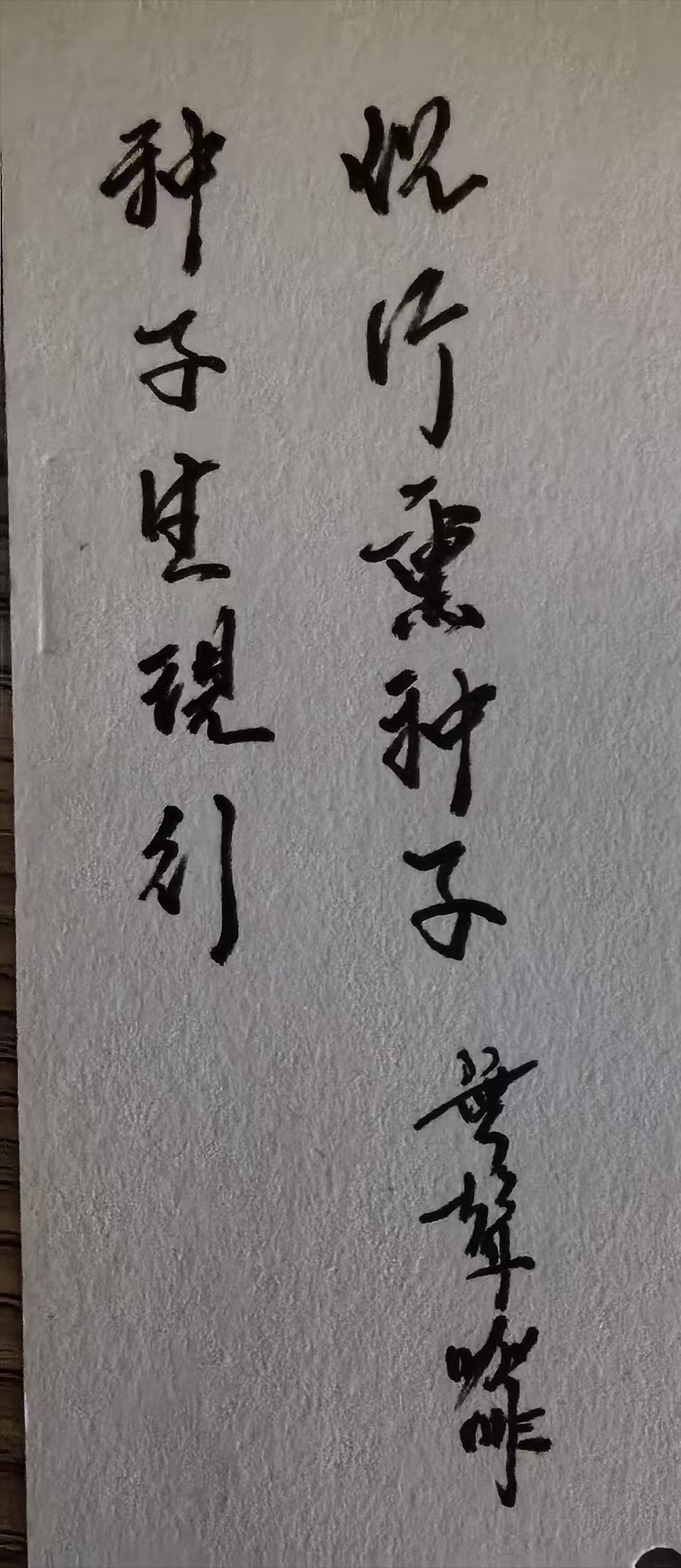 無聲咖啡 禅意一角